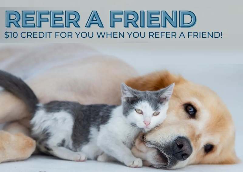 Refer a Friend