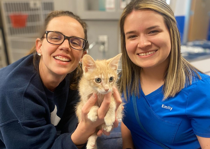 Carousel Slide 7: Kitten and puppy preventative care